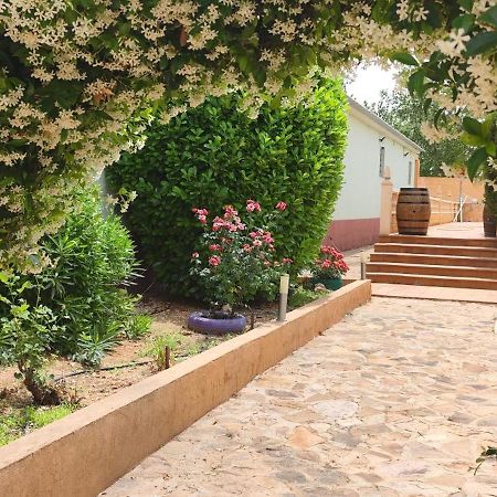 Casa Rural El Tejar San Clemente  Zewnętrze zdjęcie