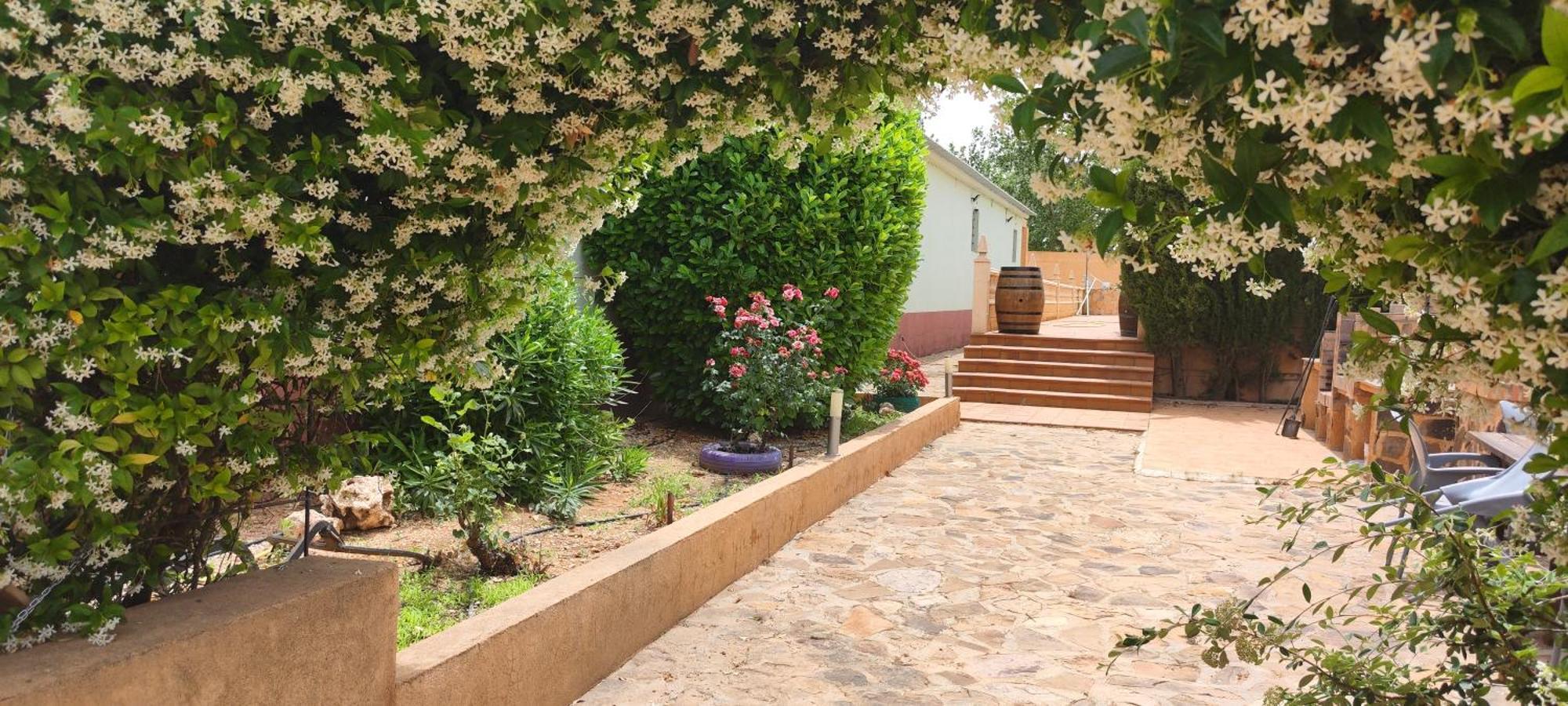 Casa Rural El Tejar San Clemente  Zewnętrze zdjęcie