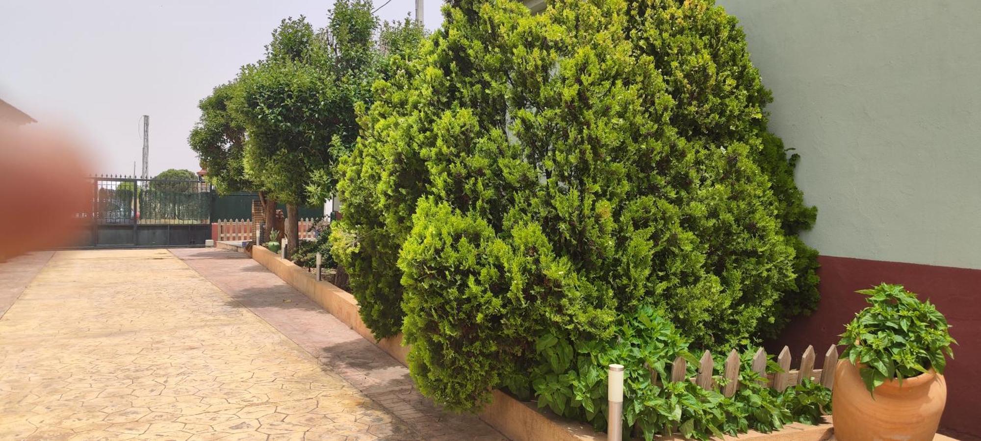 Casa Rural El Tejar San Clemente  Zewnętrze zdjęcie
