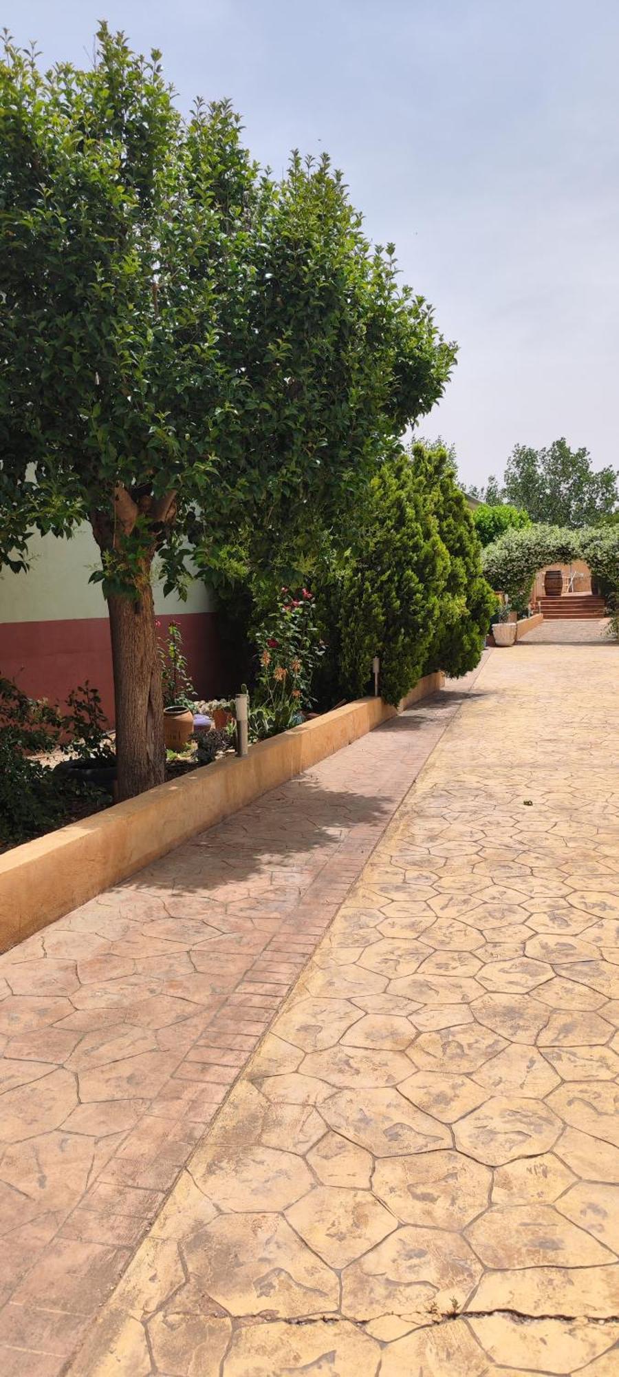 Casa Rural El Tejar San Clemente  Zewnętrze zdjęcie